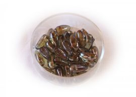 Chili gyöngy 11x4 - lüszteres zöld picasso
