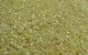 Lüszteres beige - TOHO Treasure 11/0, 5gramm